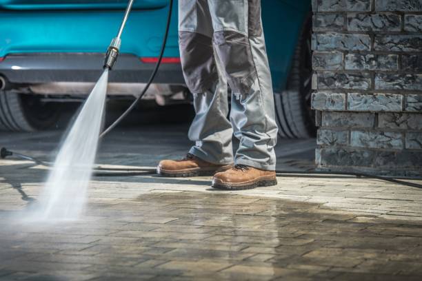 Best Spring Cleaning  in Pinellas Park, FL