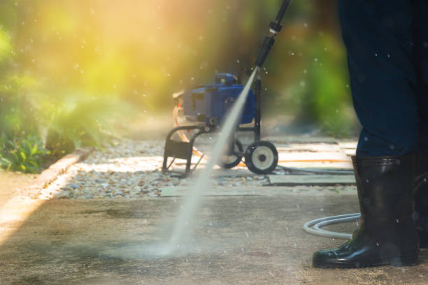 Best Sidewalk and Walkway Cleaning  in Pinellas Park, FL